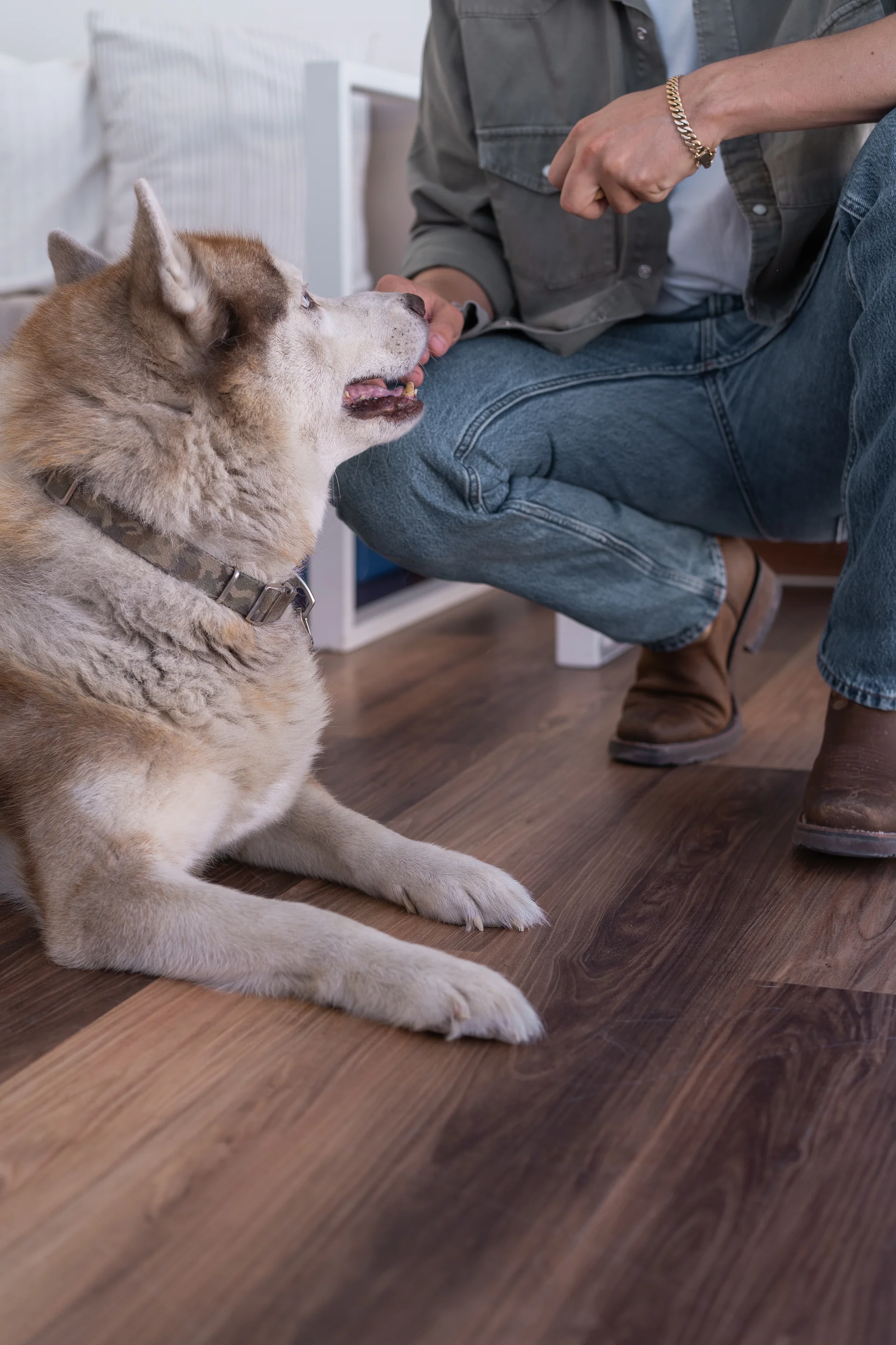 Oficinas modernas con piso SPC de alta resistencia